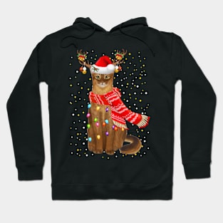 Somali Cat Christmas Hoodie